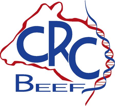 ./images/stories/Beef CRC