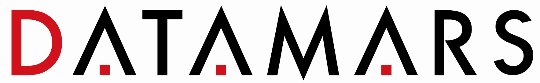 DATAMARS logo